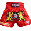 MMA Grappling Boxing Fight Shorts