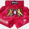 MMA Grappling Boxing Fight Shorts