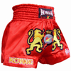 MMA Grappling Boxing Fight Shorts